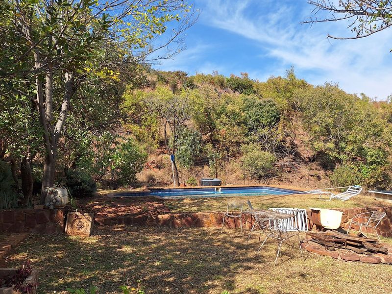 An Untamed Paradise...For the daring investor or passionate nature lover! - Photo 4