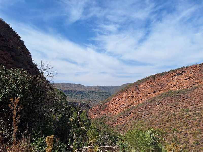 An Untamed Paradise...For the daring investor or passionate nature lover! - Photo 2