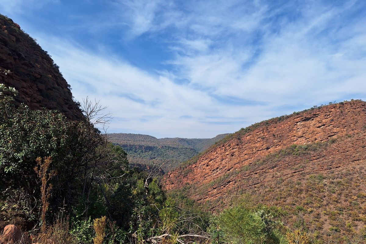 An Untamed Paradise...For the daring investor or passionate nature lover! - Photo 2