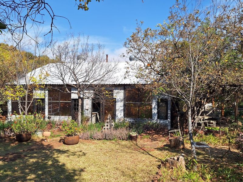 An Untamed Paradise...For the daring investor or passionate nature lover! - Photo 6