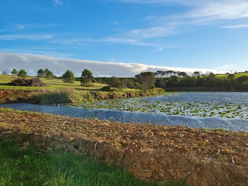 OWN A PIECE OF PARADISE IN JEFFREYS BAY! - Photo 6