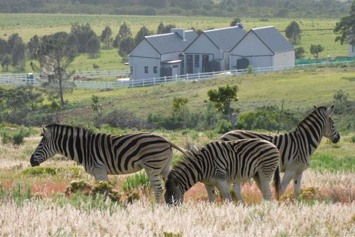 OWN A PIECE OF PARADISE IN JEFFREYS BAY! - Photo 4