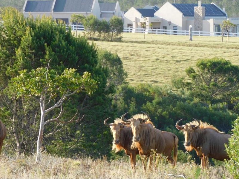 OWN A PIECE OF PARADISE IN JEFFREYS BAY! - Photo 3