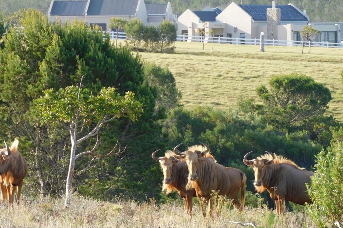 OWN A PIECE OF PARADISE IN JEFFREYS BAY! - Photo 3