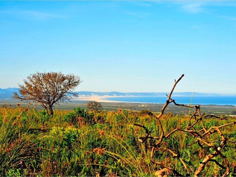 OWN A PIECE OF PARADISE IN JEFFREYS BAY! - Photo 5