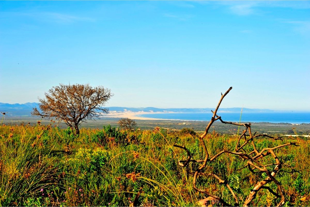 OWN A PIECE OF PARADISE IN JEFFREYS BAY! - Photo 5