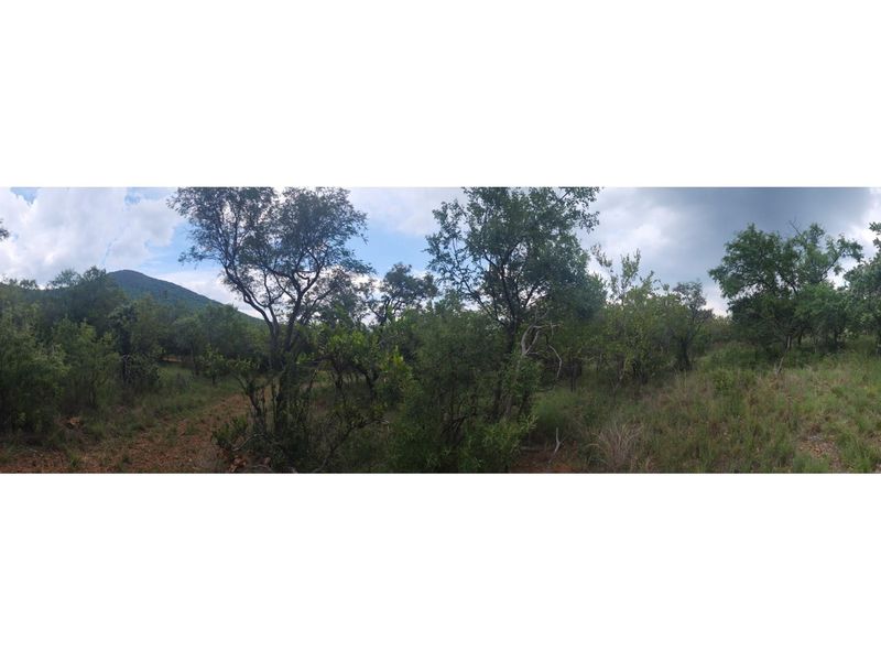 Innibos - 1 HA Vacant land with spectacular views of Springbuck Flats - Dog Friendly - Photo 8