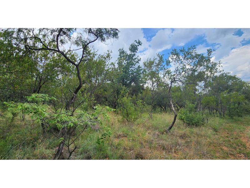 Innibos - 1 HA Vacant land with spectacular views of Springbuck Flats - Dog Friendly - Photo 3