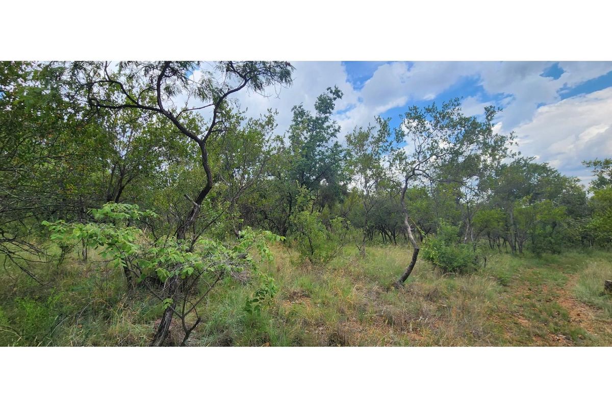 Innibos - 1 HA Vacant land with spectacular views of Springbuck Flats - Dog Friendly - Photo 3