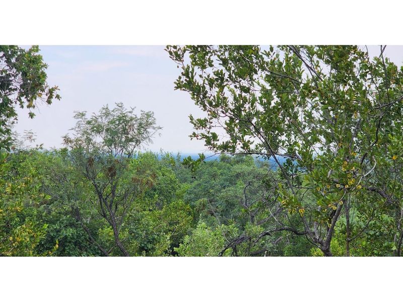 Innibos - 1 HA Vacant land with spectacular views of Springbuck Flats - Dog Friendly - Photo 5