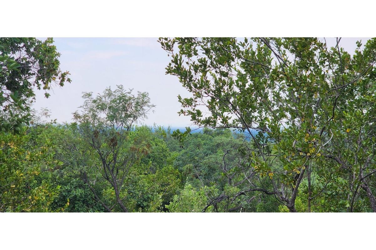 Innibos - 1 HA Vacant land with spectacular views of Springbuck Flats - Dog Friendly - Photo 5