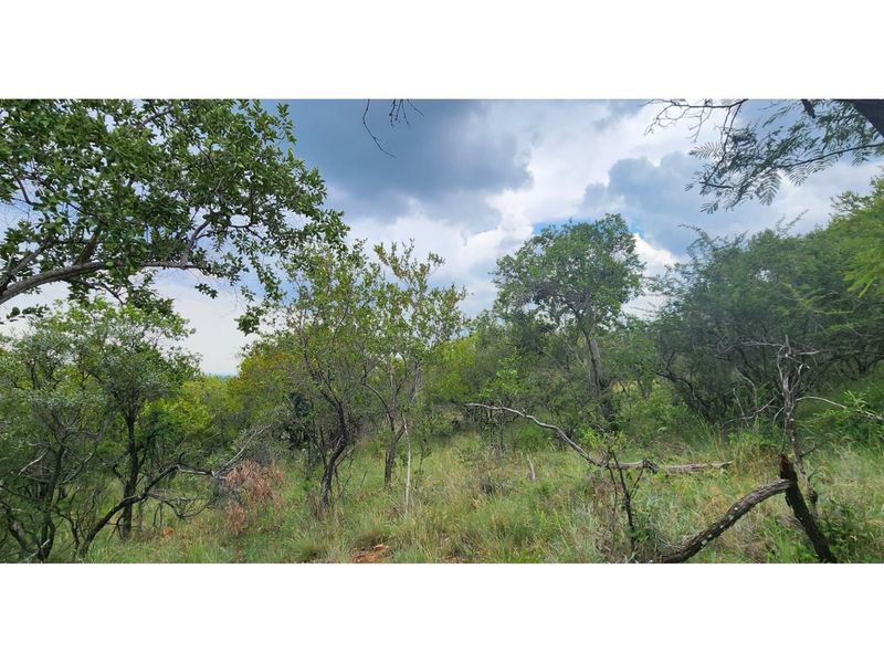 Innibos - 1 HA Vacant land with spectacular views of Springbuck Flats - Dog Friendly - Photo 4