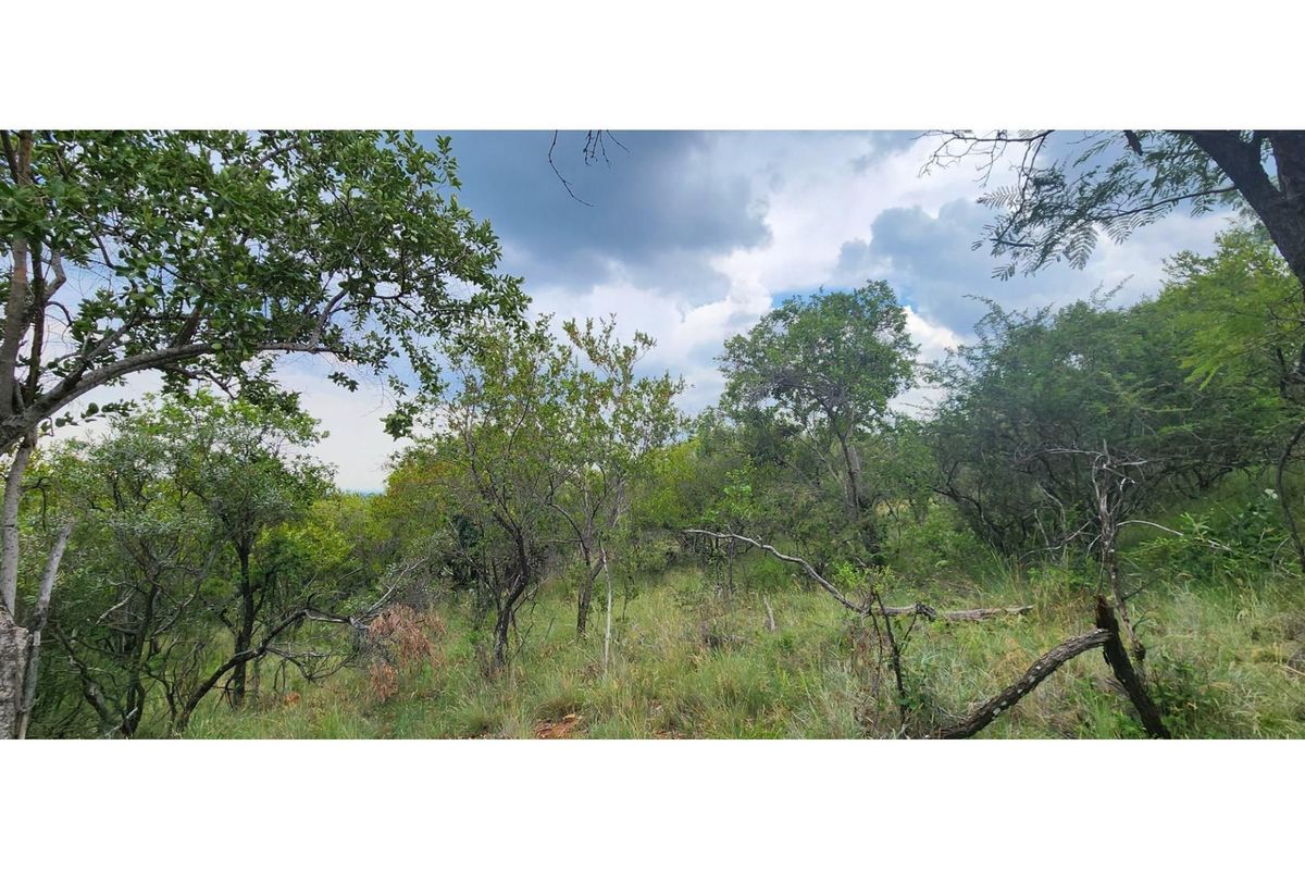 Innibos - 1 HA Vacant land with spectacular views of Springbuck Flats - Dog Friendly - Photo 4