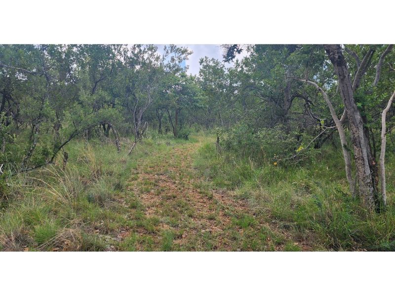 Innibos - 1 HA Vacant land with spectacular views of Springbuck Flats - Dog Friendly - Photo 6
