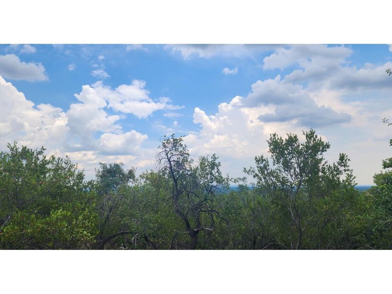 Innibos - 1 HA Vacant land with spectacular views of Springbuck Flats - Dog Friendly - Photo 2