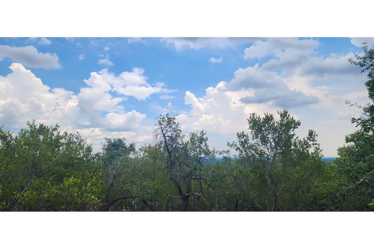 Innibos - 1 HA Vacant land with spectacular views of Springbuck Flats - Dog Friendly - Photo 2