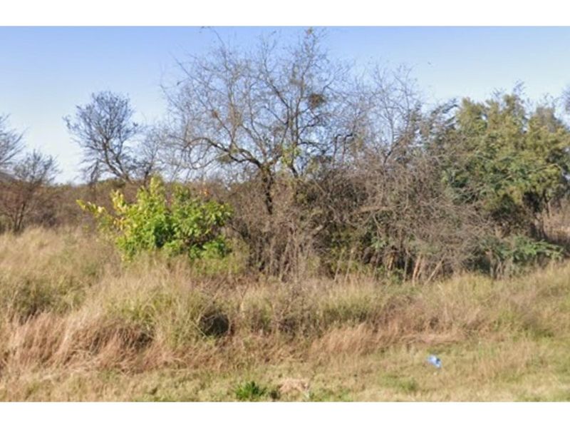 A view of the vacant residential land featuring natural vegetation and mature trees.