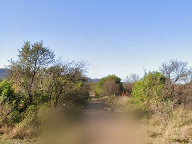 A view of a dirt access road surrounded by natural vegetation and trees on a vacant residential plot.