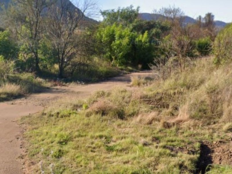 A view of an unpaved access road leading through a natural, undeveloped residential land area with surrounding vegetation.