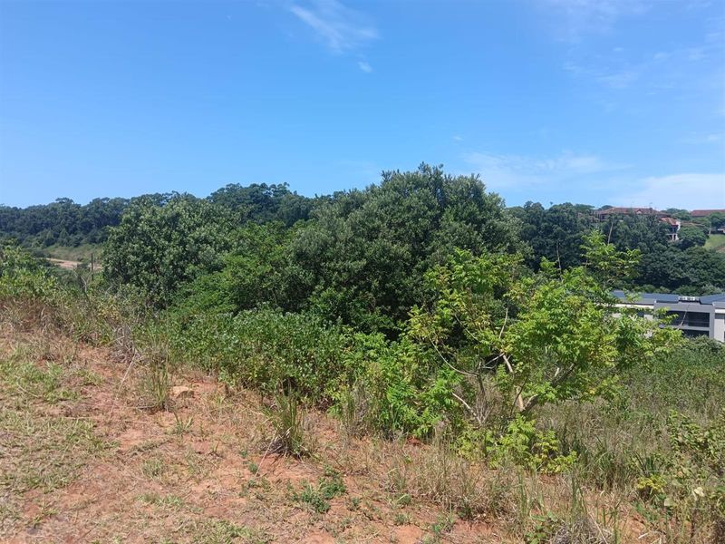 Luxury Build Opportunity | Zimbali Lakes Estate Size: ±1313 m2 - Photo 10