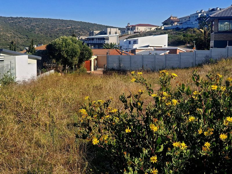 Position, Potential, and Possibility - All in One Plot - Photo 2