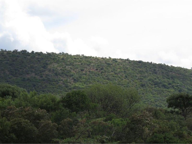 Zwartkloof Game Reserve - DAM View - DEVELOPER STAND - Full Title - Photo 8