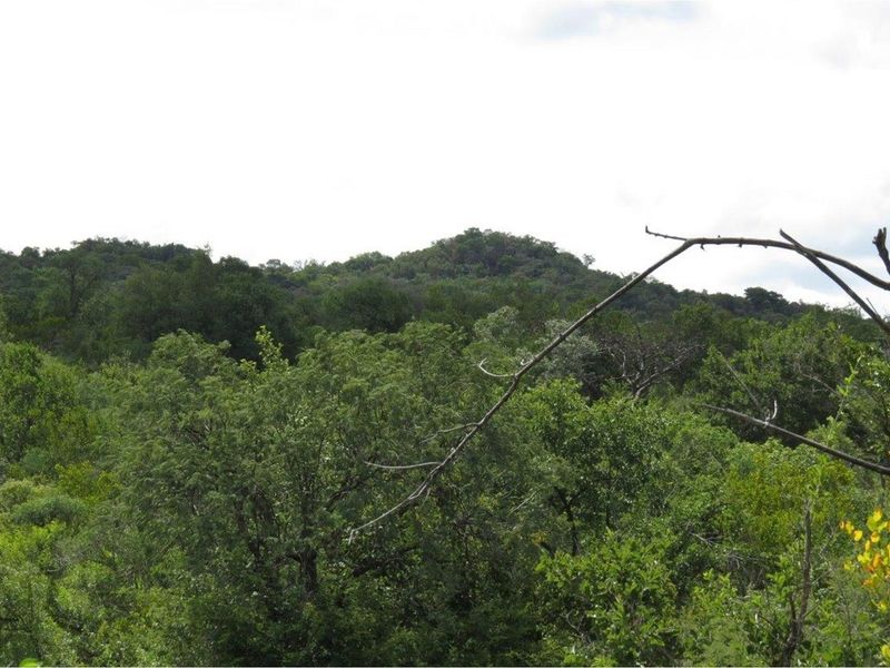 Zwartkloof Game Reserve - DAM View - DEVELOPER STAND - Full Title - Photo 4
