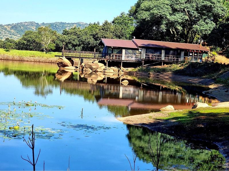 A scenic view of a rustic cabin situated on the edge of a tranquil farm dam, featuring a wooden deck extending over the water.