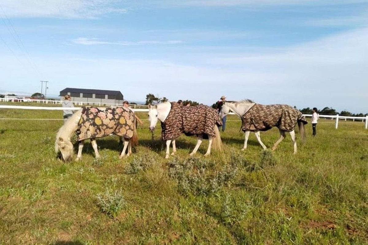 Are you sick of locking your family behind bars? Twin Valley might be the place for you! - Photo 5