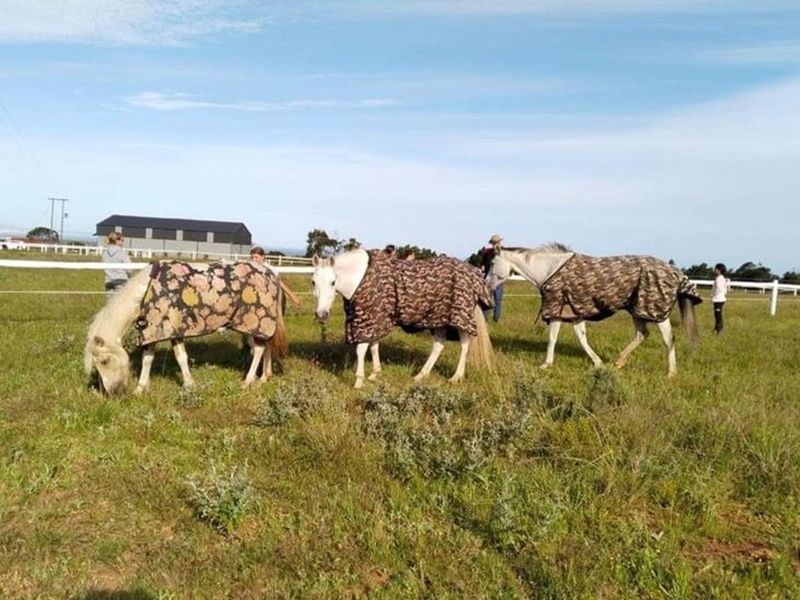 Are you sick of locking your family behind bars? Twin Valley might be the place for you! - Photo 5