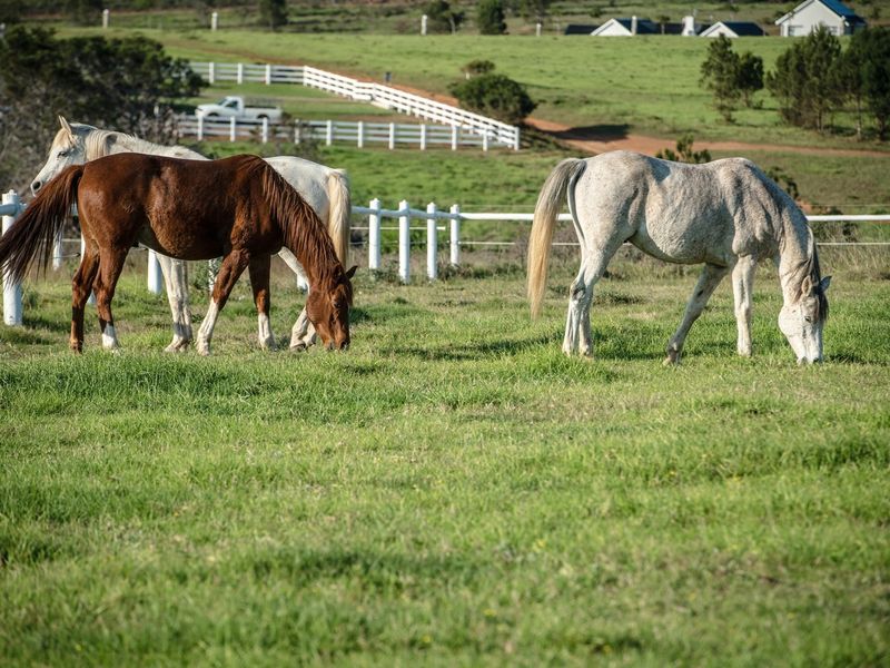 Are you sick of locking your family behind bars? Twin Valley might be the place for you! - Photo 3