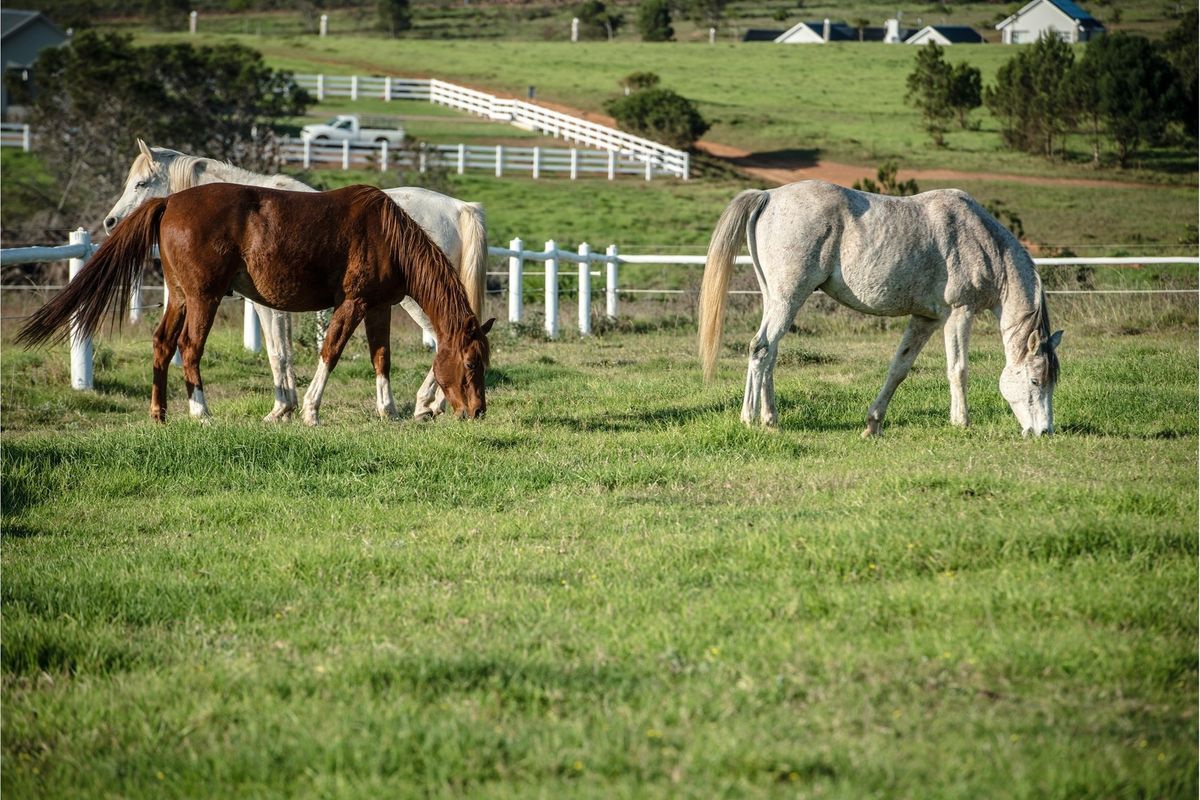 Are you sick of locking your family behind bars? Twin Valley might be the place for you! - Photo 3