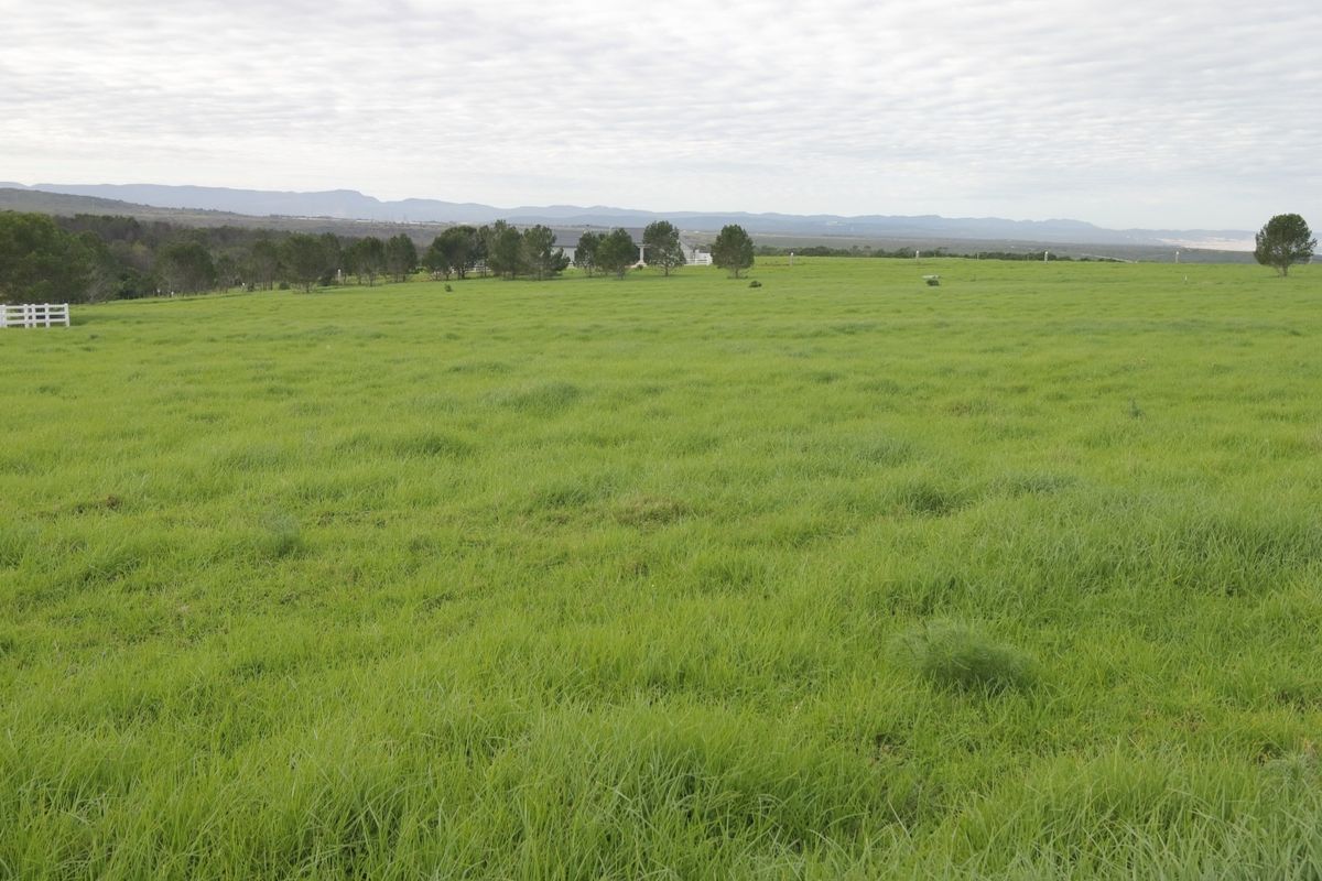 Expansive vacant residential land featuring lush green pasture, perimeter fencing, and scenic distant mountain views.