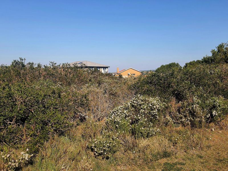 Vacant stand Adjacent to Zoned Open Space in Boggomsbay - Photo 7