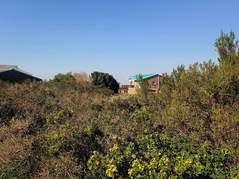 Vacant stand Adjacent to Zoned Open Space in Boggomsbay - Photo 9