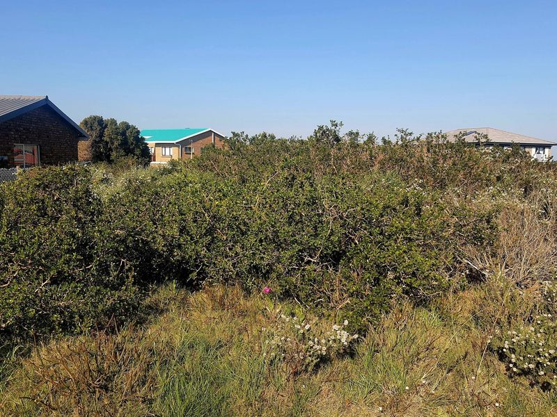 Vacant stand Adjacent to Zoned Open Space in Boggomsbay - Photo 6