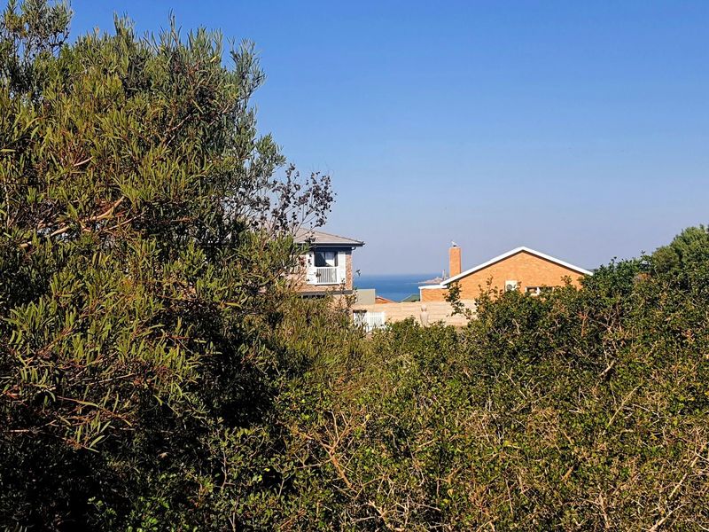 Vacant stand Adjacent to Zoned Open Space in Boggomsbay - Photo 10