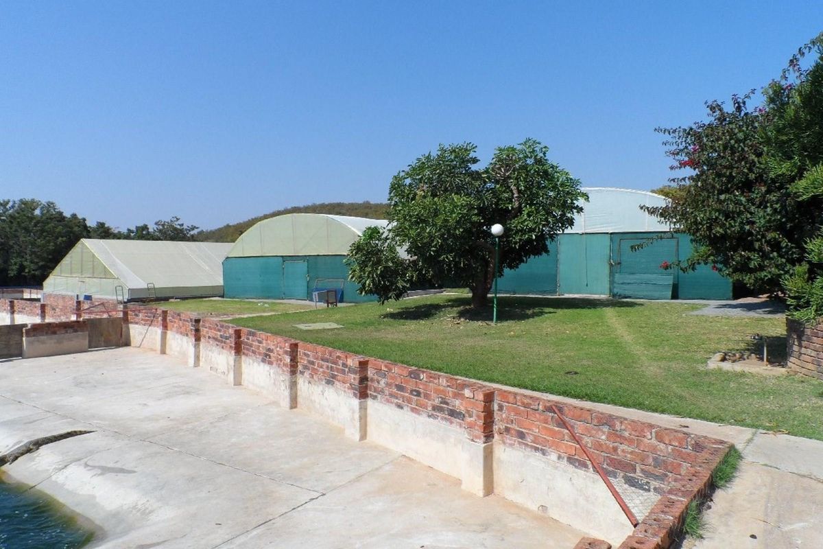 Exterior view of the farm property featuring large agricultural tunnels, a manicured lawn, and a concrete-lined water reservoir with brick retaining walls.