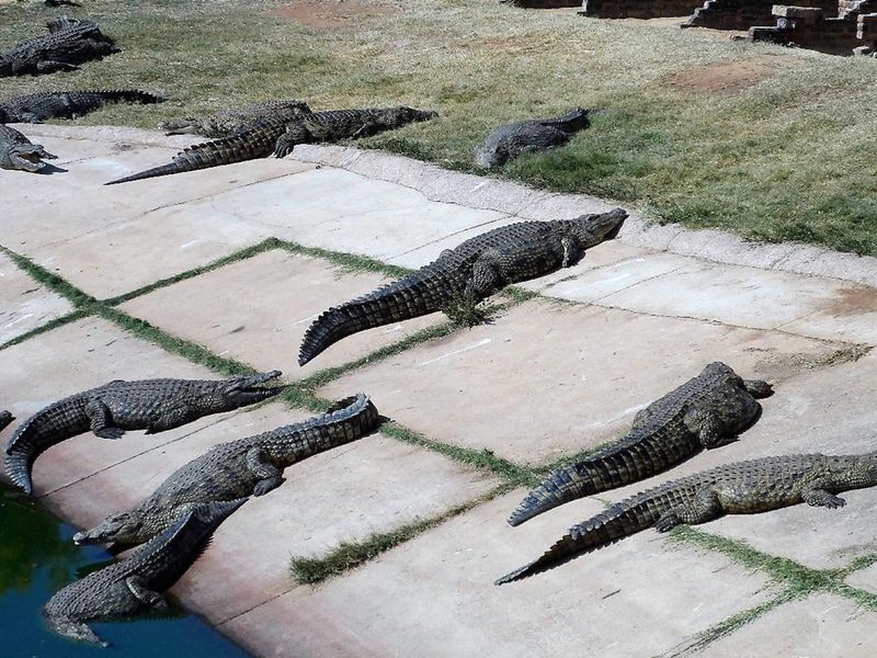 50% SHARE NOW AVAILABLE, EXCELLENT TURNOVER!! - Photo 9