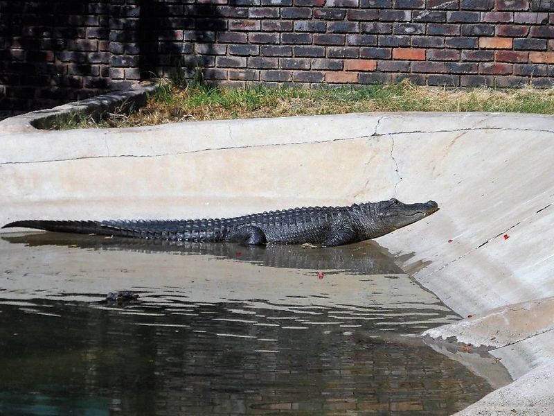 50% SHARE NOW AVAILABLE, EXCELLENT TURNOVER!! - Photo 6