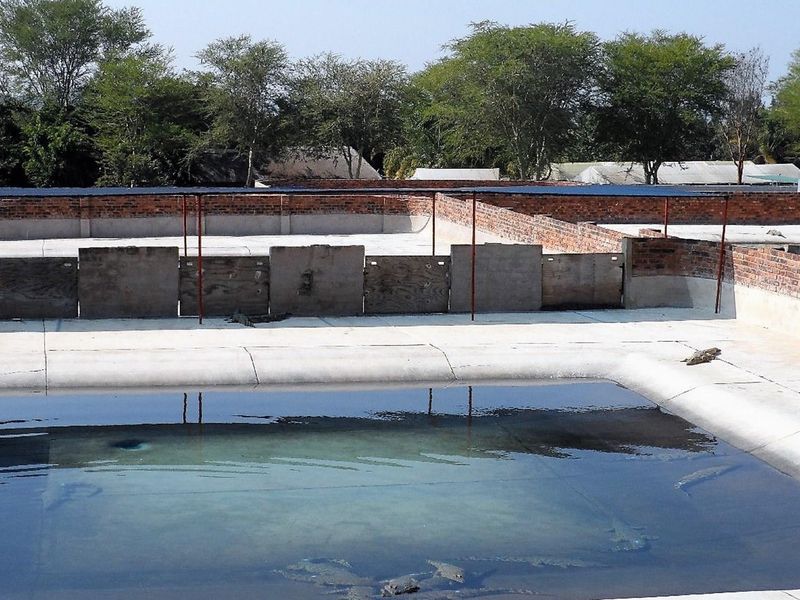 50% SHARE NOW AVAILABLE, EXCELLENT TURNOVER!! - Photo 4