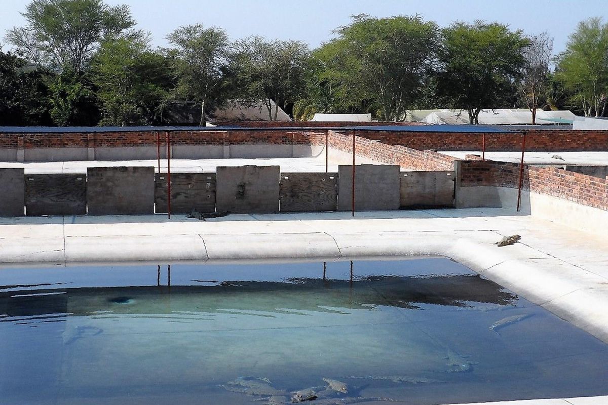 50% SHARE NOW AVAILABLE, EXCELLENT TURNOVER!! - Photo 4