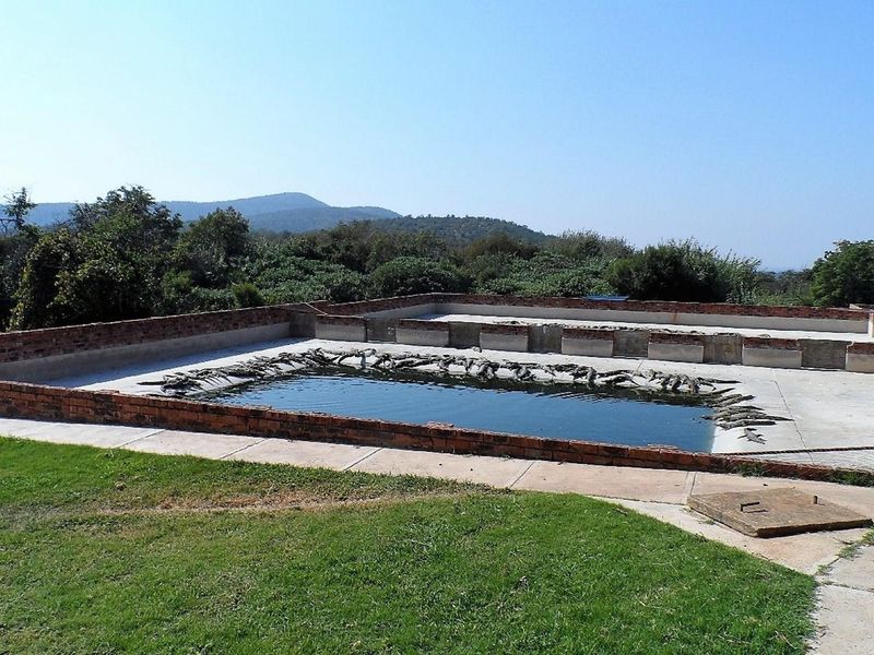 50% SHARE NOW AVAILABLE, EXCELLENT TURNOVER!! - Photo 3