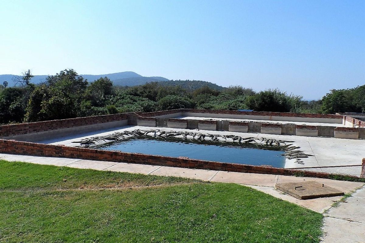 50% SHARE NOW AVAILABLE, EXCELLENT TURNOVER!! - Photo 3