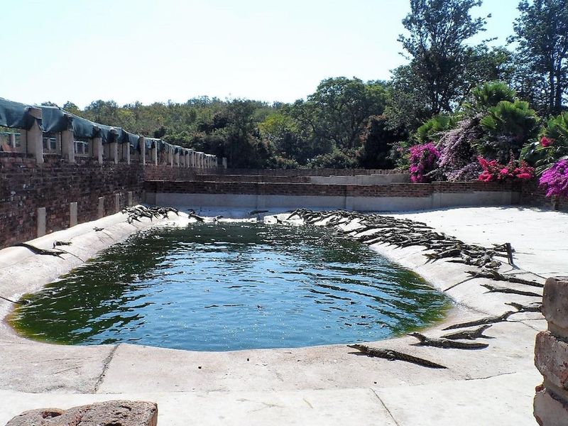 50% SHARE NOW AVAILABLE, EXCELLENT TURNOVER!! - Photo 5