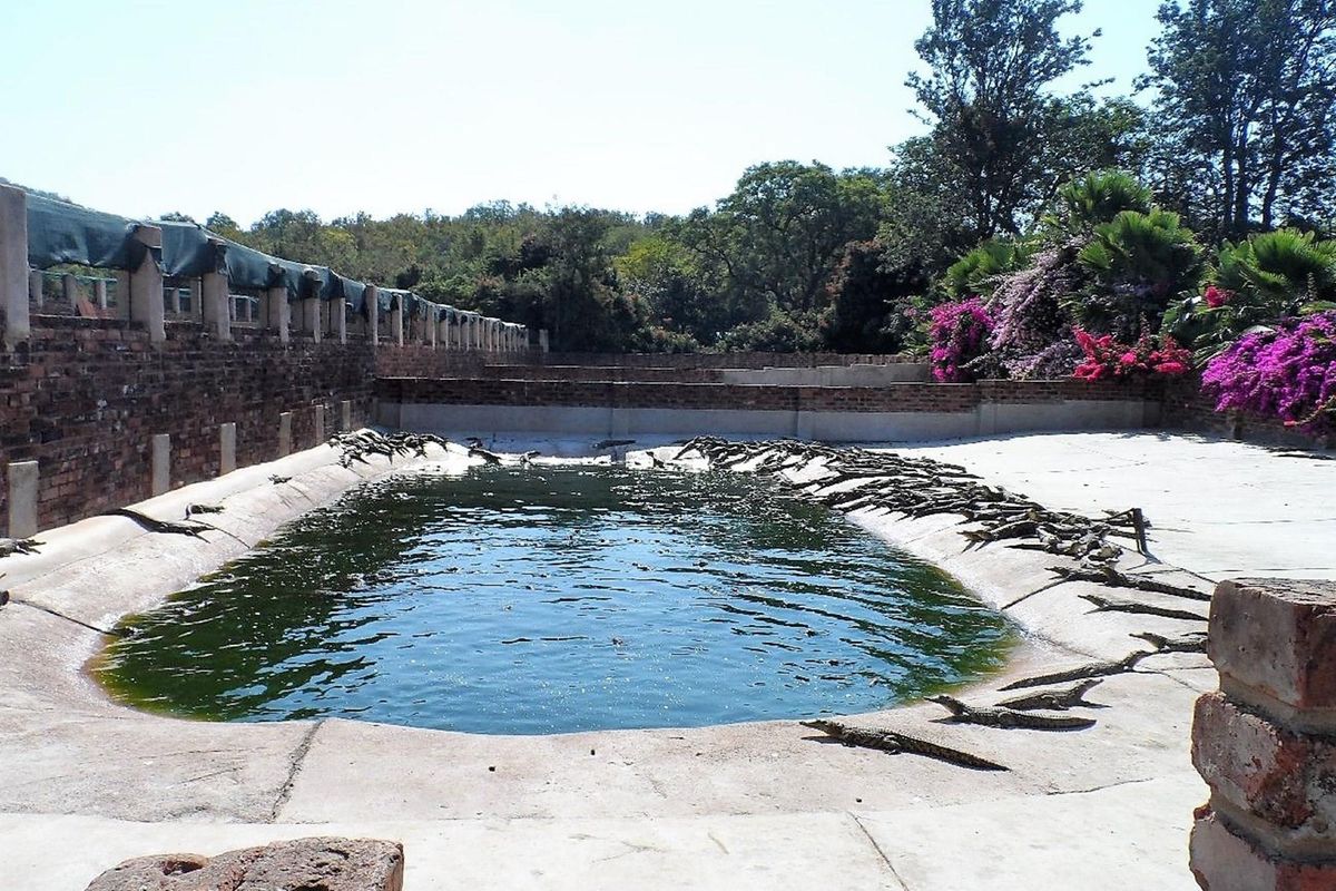 50% SHARE NOW AVAILABLE, EXCELLENT TURNOVER!! - Photo 5