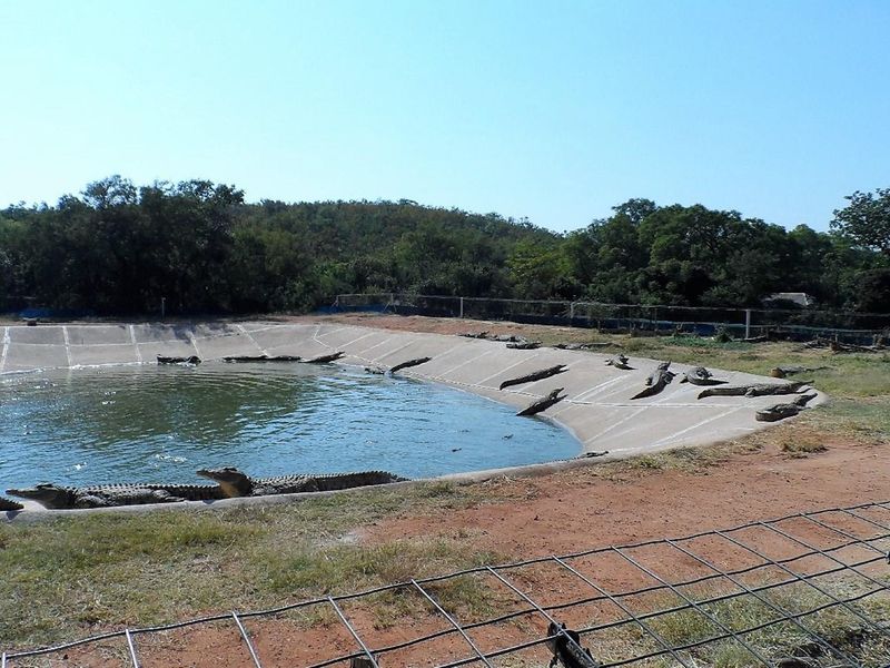 50% SHARE NOW AVAILABLE, EXCELLENT TURNOVER!! - Photo 2