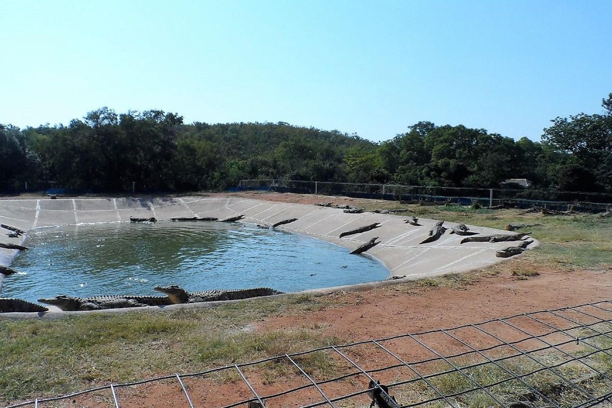 50% SHARE NOW AVAILABLE, EXCELLENT TURNOVER!! - Photo 2