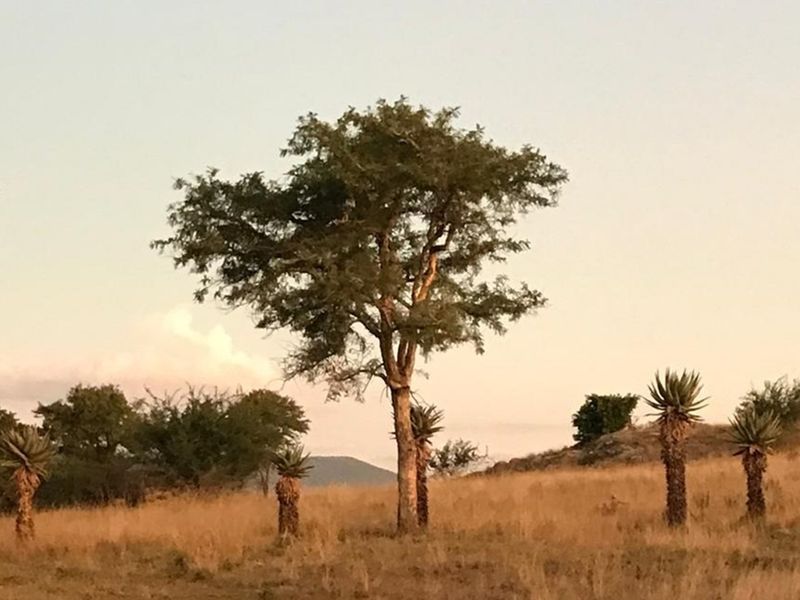 Where Farming Meets Opportunity-Abundant Land, Thriving Wildlife and Endless Possibilities - Photo 6