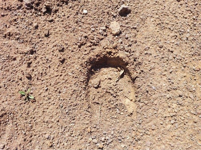 Beautiful Large house for sale in the spectacular Leopards Rock Country Estate - Photo 7